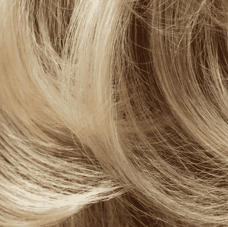 shampoo, beset shampoo, best hair care, dfouble shampoo, hair rpoducts for hair growth, adelaide hair, the best hair extensions, best extensionms, hair extensions adelaide, best blodne extensions, hair extensions australia, best hair brand